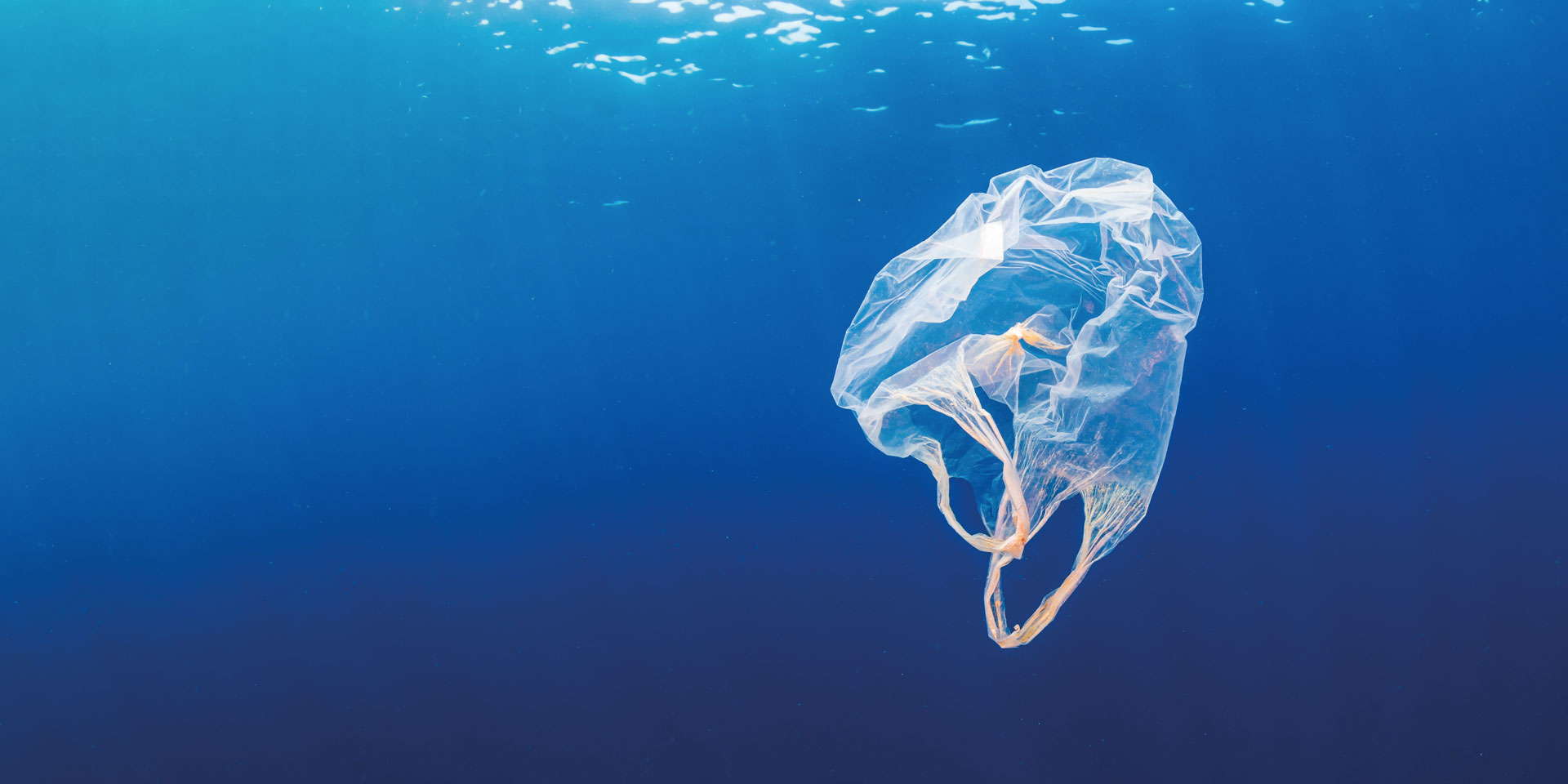 Visuel d'un sac plastique flottant dans l'ocean