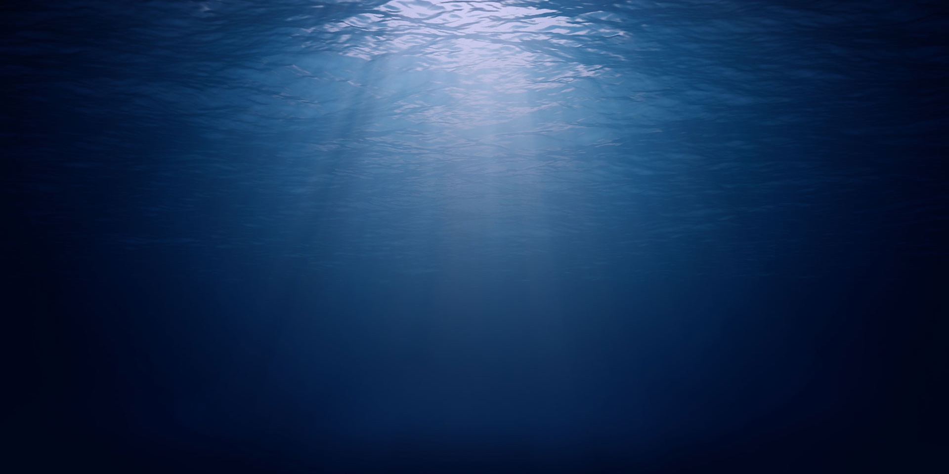 Photo contre plongée sous marine