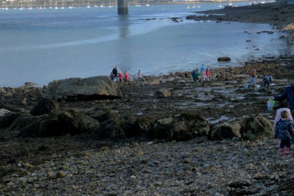 École du Forestou : soutenir des actions développées  dans le cadre d’une aire marine éducative