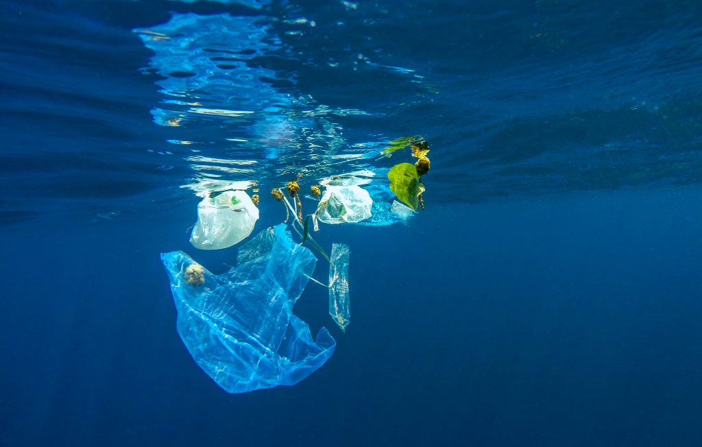[Mobilisation] Défi Plastique 2022 – 2H pour l’Océan en baie de Douarnenez