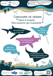 Concours de dessin APECS été 2022