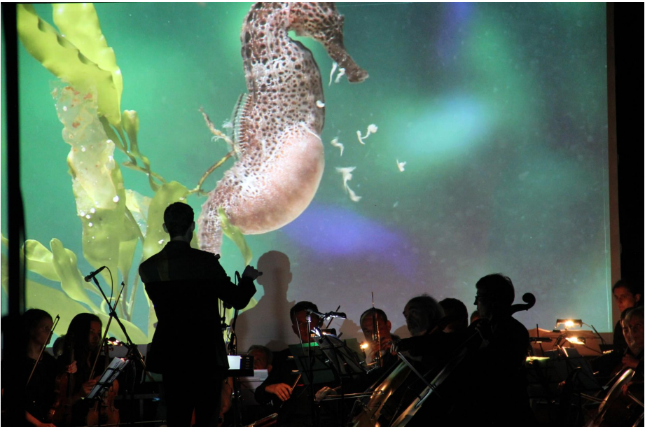 Concert La Voix des Océans Juillet 2022