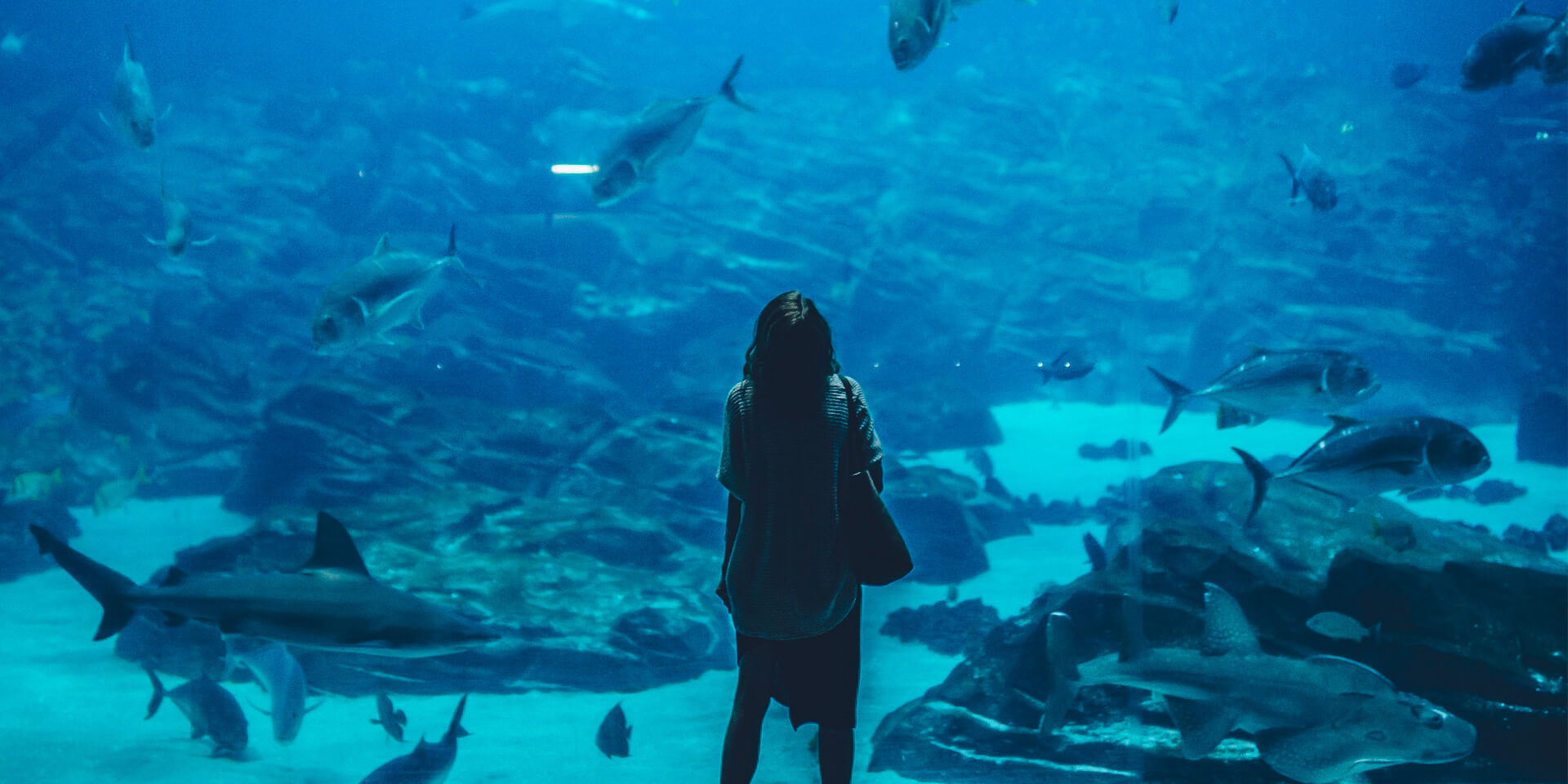 Jeune femme devant un aquarium géant