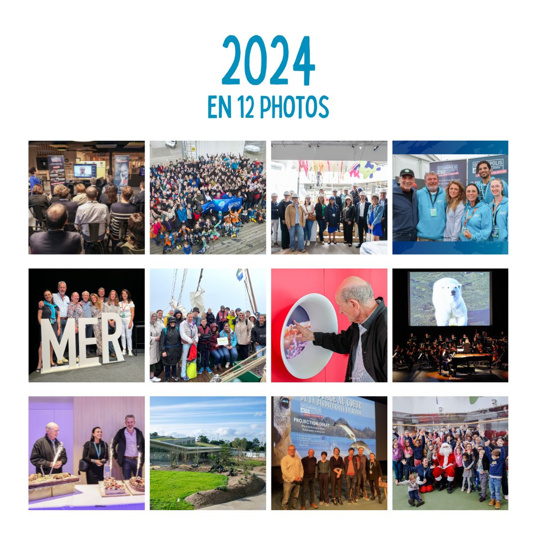 [BILAN 2024] Retour en images sur les moments forts de 2024 pour Océanopolis Acts !