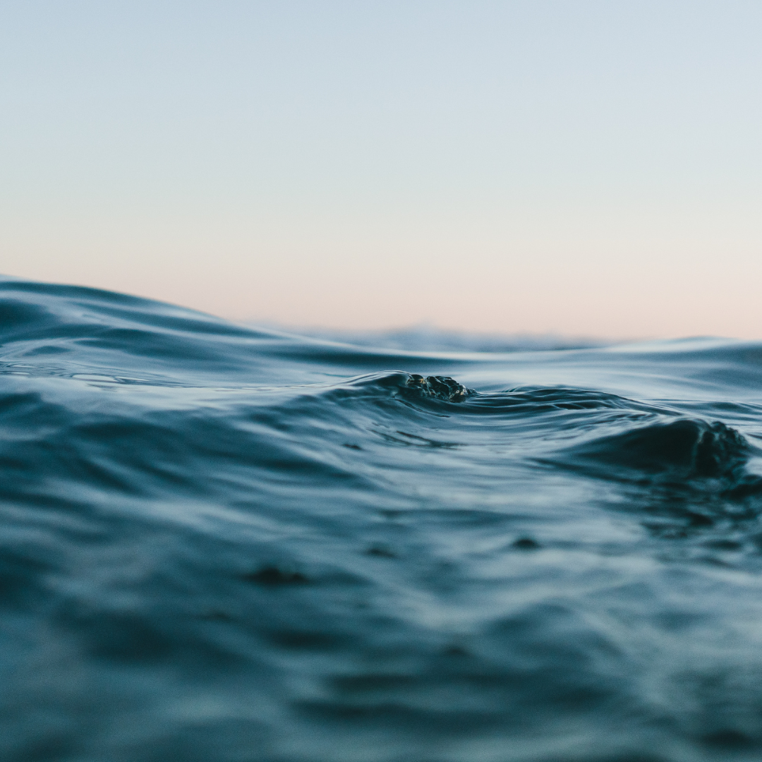 [22 Mars] Journée mondiale de l’eau