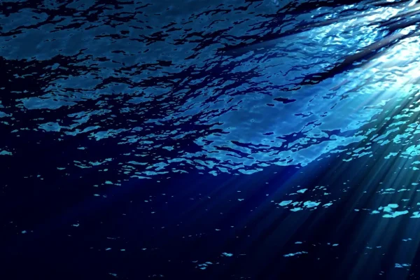 Projet réalisé – Objectif Océan 2050