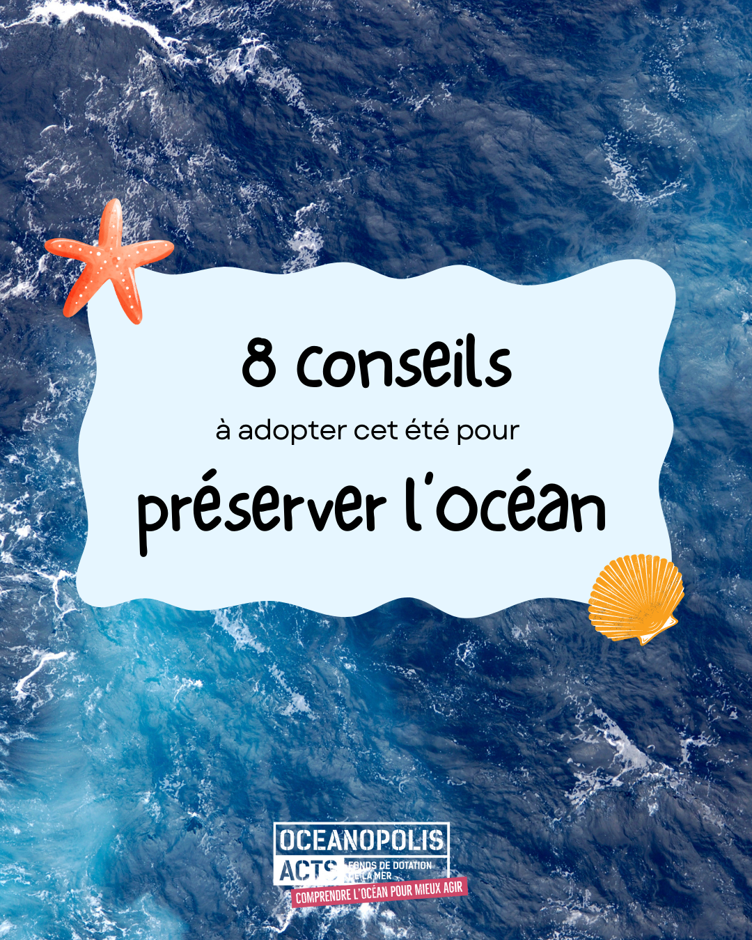 8 conseils à adopter cet été pour préserver l’Océan !