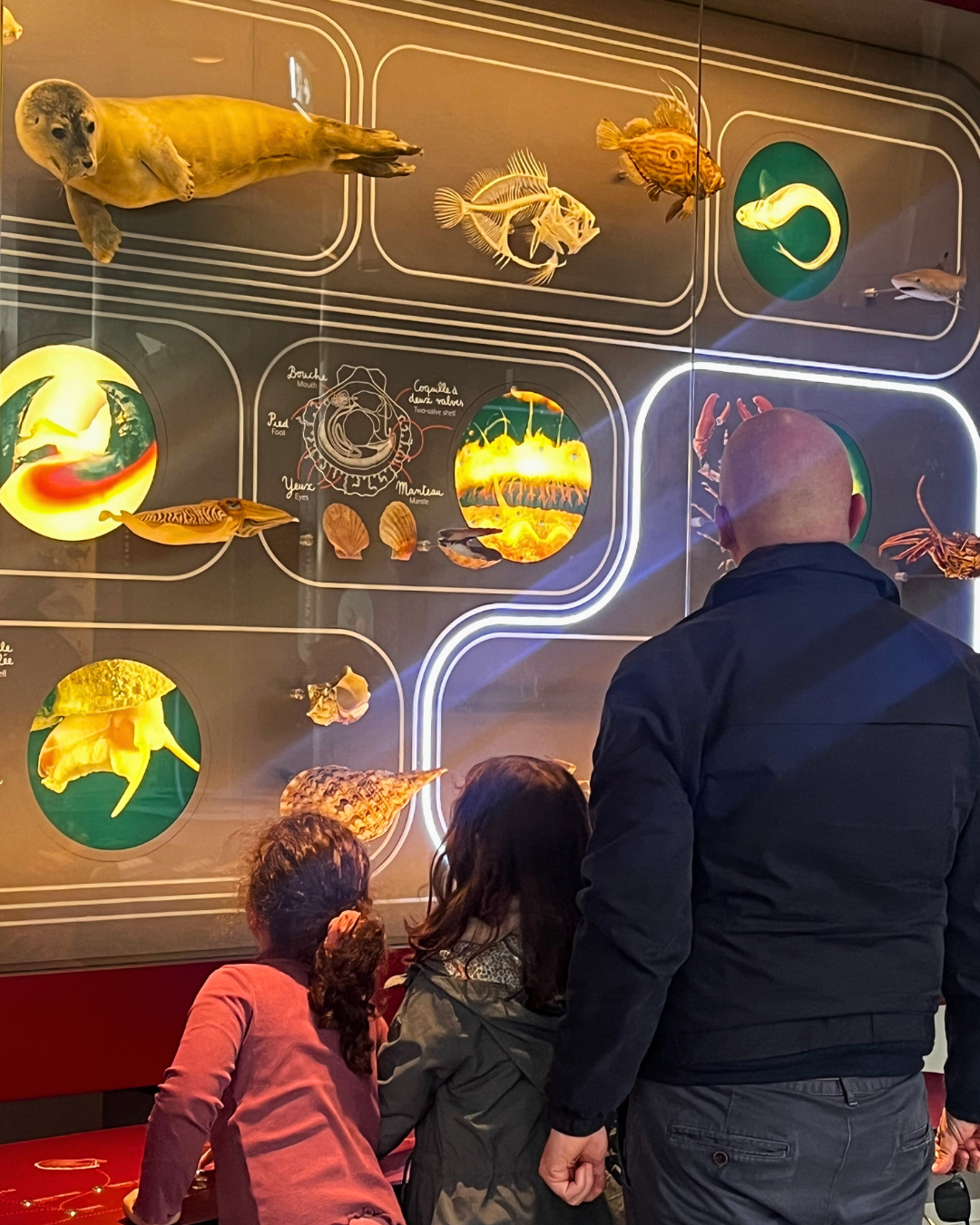 [Actualité] Les enfants des collaborateurs & administrateurs du Crédit Agricole du Finistère à la Cité des Océanautes !